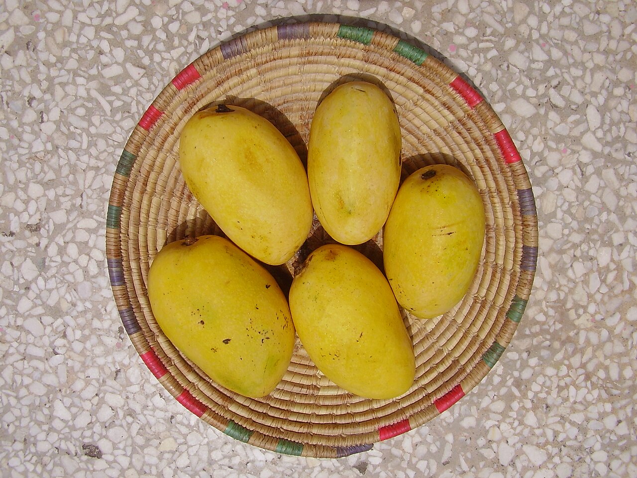 Multan Mango Festival