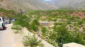 Sakhi Sarwar